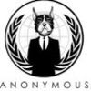 anonymousdog32